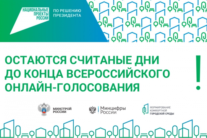 ​Голосование завершится в День России