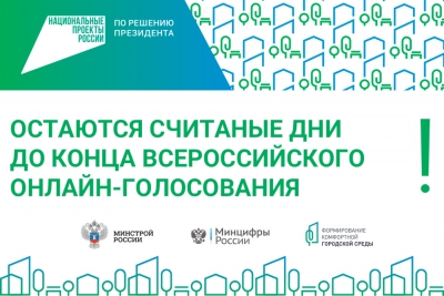 ​Голосование завершится в День России