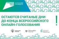 ​Голосование завершится в День России